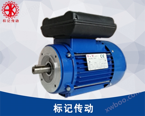 BBM doppio condensatore motore 220V monofase in alluminio shell motor