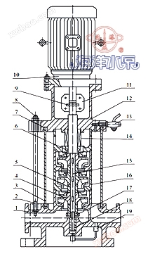 GDL立式清水多級管道泵結構示意圖