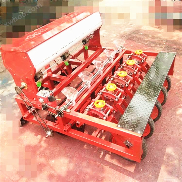 Máy gieo hạt giống rau