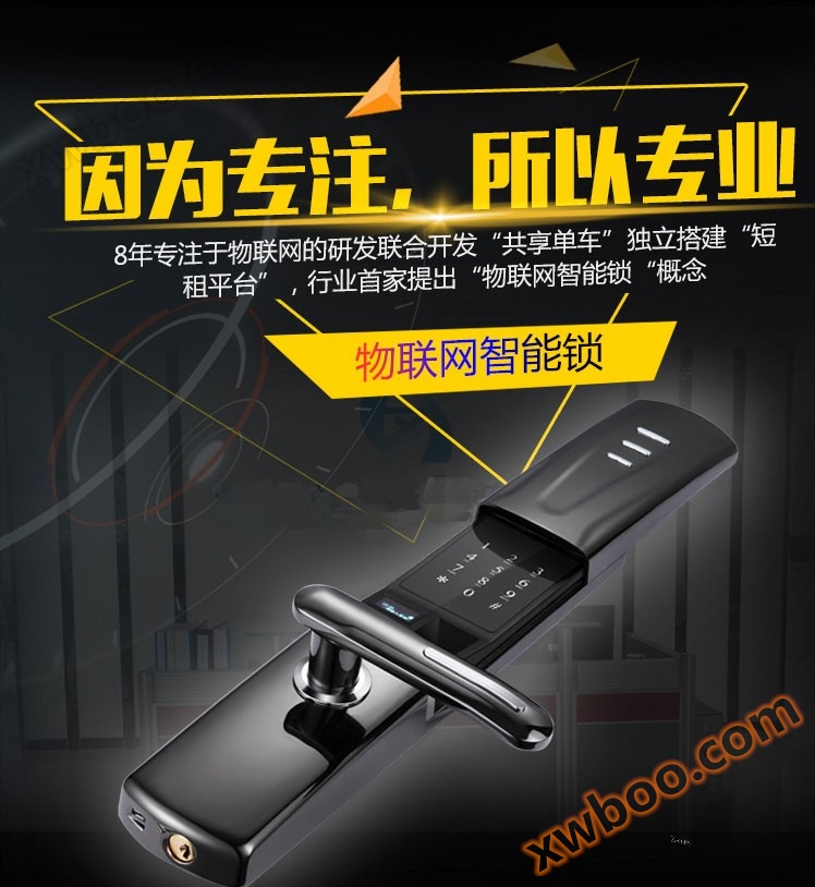 兴邦物联网智能门锁