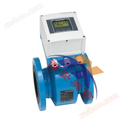 德国E+H污水流量计W800电池供电 污水防腐电磁流量计