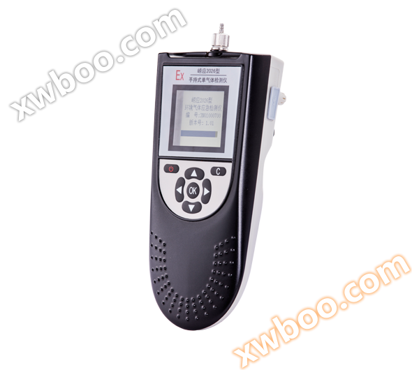 Detector de gas único portátil