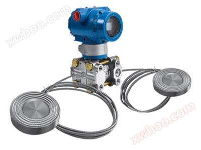 Transmisor inteligente de nivel de doble brida anticorrosiva