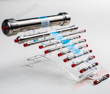 Special chromatographic column for analysis of Leonurus heterophyllus hydrochloride and sophocarpine