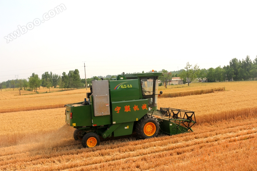 Miejsce pracy samodzielnej zbiornicy zbożowej