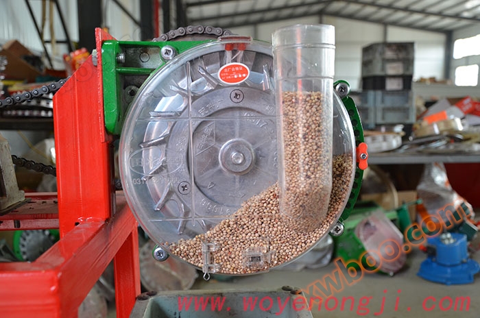 Sorghum sorter