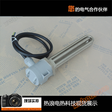 Oil tank antifreeze electric heater