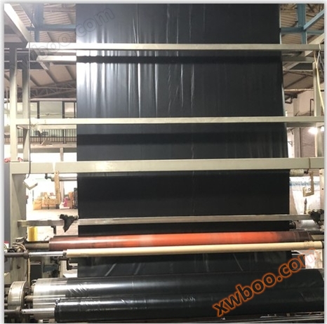 Cała biodegradacja trawy