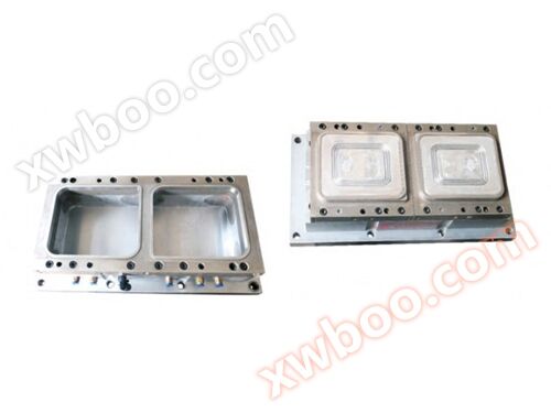 Plastic mold 5