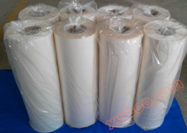 Hot melt adhesive film for PET