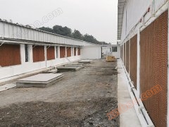 Solution for humidification and cooling in breeding plants