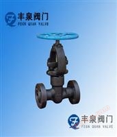 Forged steel low-temperature globe valve