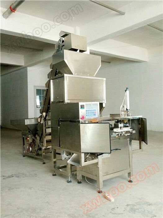 全自動ペレット包装機工場