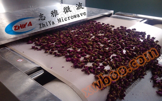 Equipo de secado por microondas de rosas - Equipo de secado por microondas
