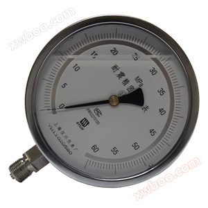 Presionmetru de precizie rezistent la șoc galvanizat