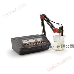 HANNA pH ORP - º C/º F analyzer HI2221