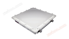 Hochleistungs-Outdoor-CPE BE8412-P2