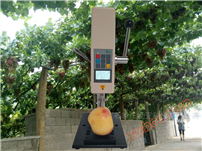 High precision digital fruit hardness tester