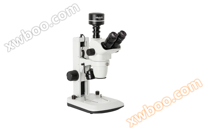 Stereoscopic microscope MZ62