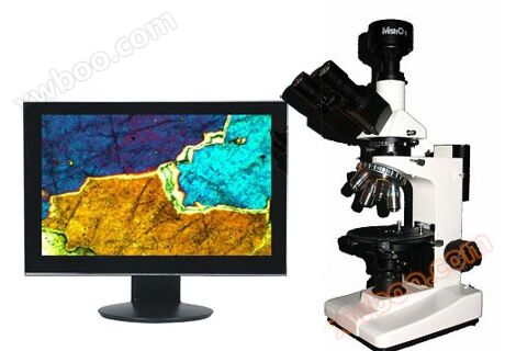 Microscópio polarizador digital BE51