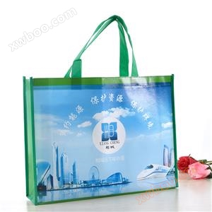 Borsa di rivestimento grande