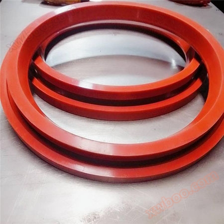 Dome valve sealing ring