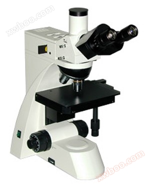 WSM400 metallographic microscope