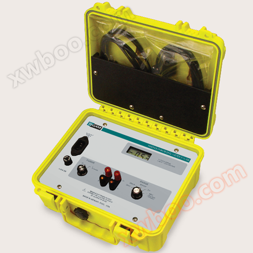 Portable Micro Euro Meter R1L-BIR