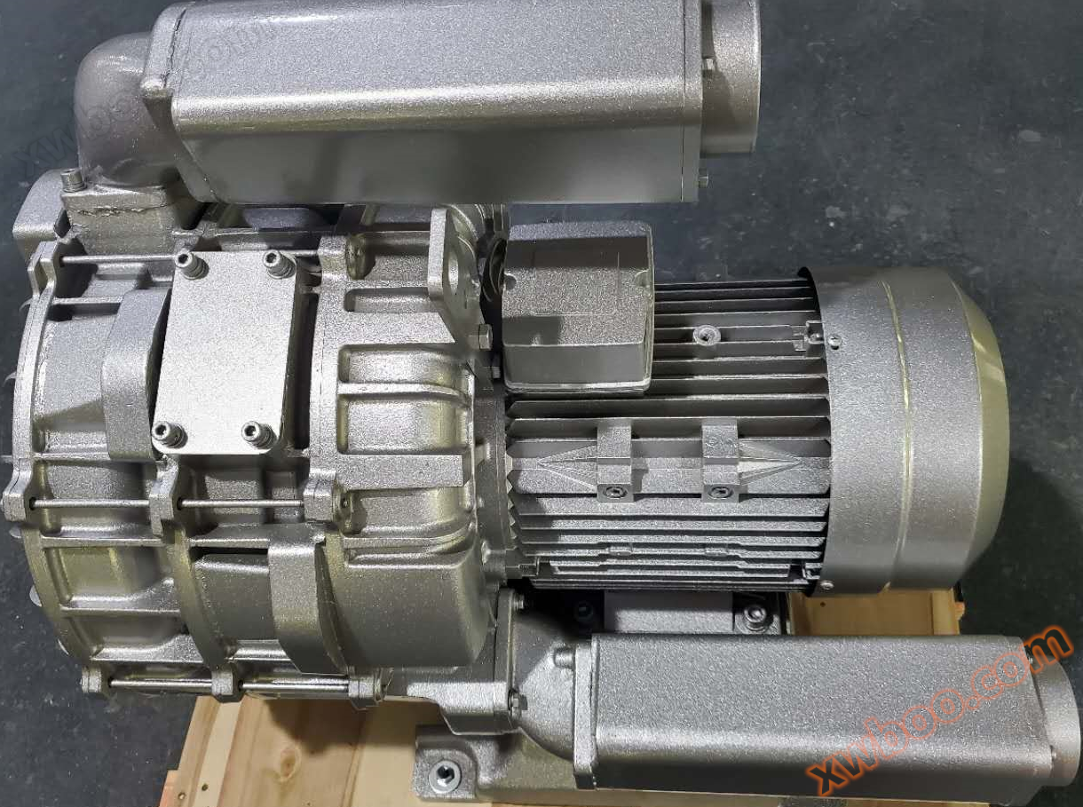 3RB Wirbelgaspumpe