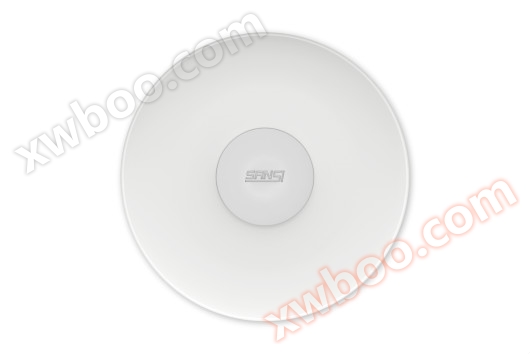 Ceiling Light Full Moon Series