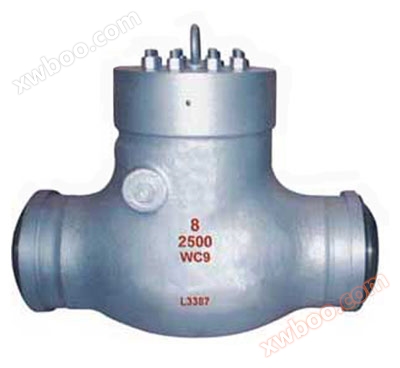 Pound scale power station check valve