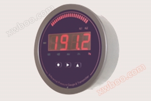 INGENINST IGNGD Serie Elektronische Mikromessgeräte/Schalter/Sender 3-in-1