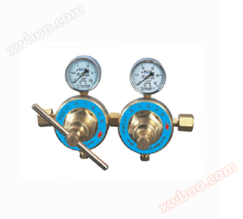 Sauerstoff-Serie Druckreduzierer YQY-370