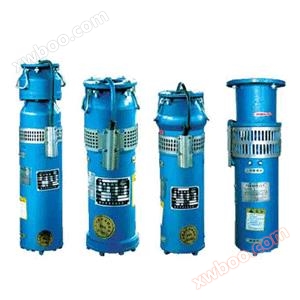 QS type water filled submersible electric pump