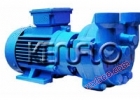 CDF type water ring vacuum pump