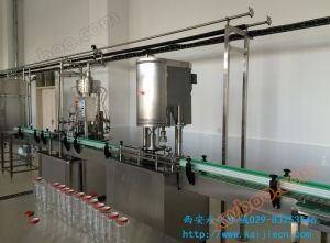 Formation pratique complète sur les compétences de traitement des boissons lactiques