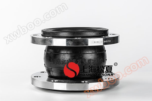 SUS304 stainless steel flange rubber joint